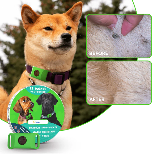 Natural Flea & Tick Collar for Pets