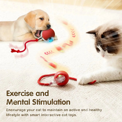Smart Cat Ball – Auto Rolling with Bird Sounds