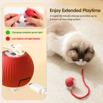 Smart Cat Ball – Auto Rolling with Bird Sounds