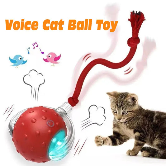 Smart Cat Ball – Auto Rolling with Bird Sounds