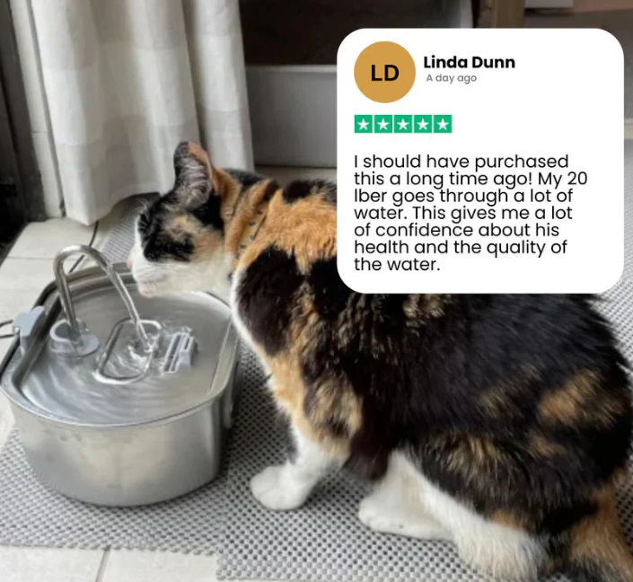 Stainless Steel Cat Water Fountain