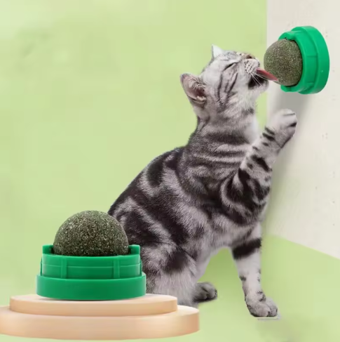 Catnip Wall Ball – Natural Digestive Treat