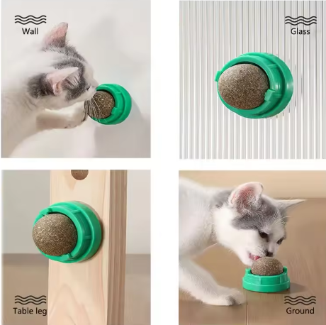 Catnip Wall Ball – Natural Digestive Treat