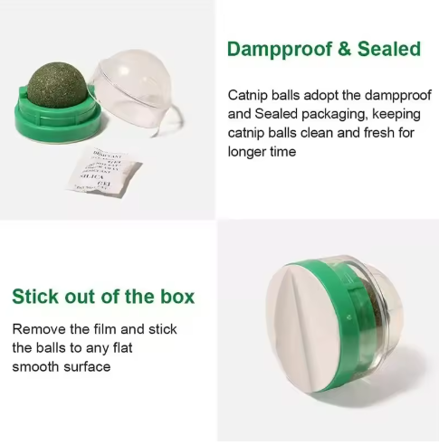 Catnip Wall Ball – Natural Digestive Treat