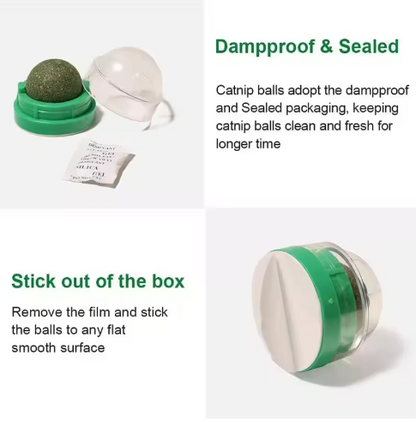 Catnip Wall Ball – Natural Digestive Treat