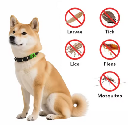 Natural Flea & Tick Collar for Pets