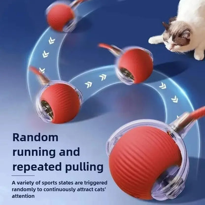Smart Cat Ball – Auto Rolling with Bird Sounds